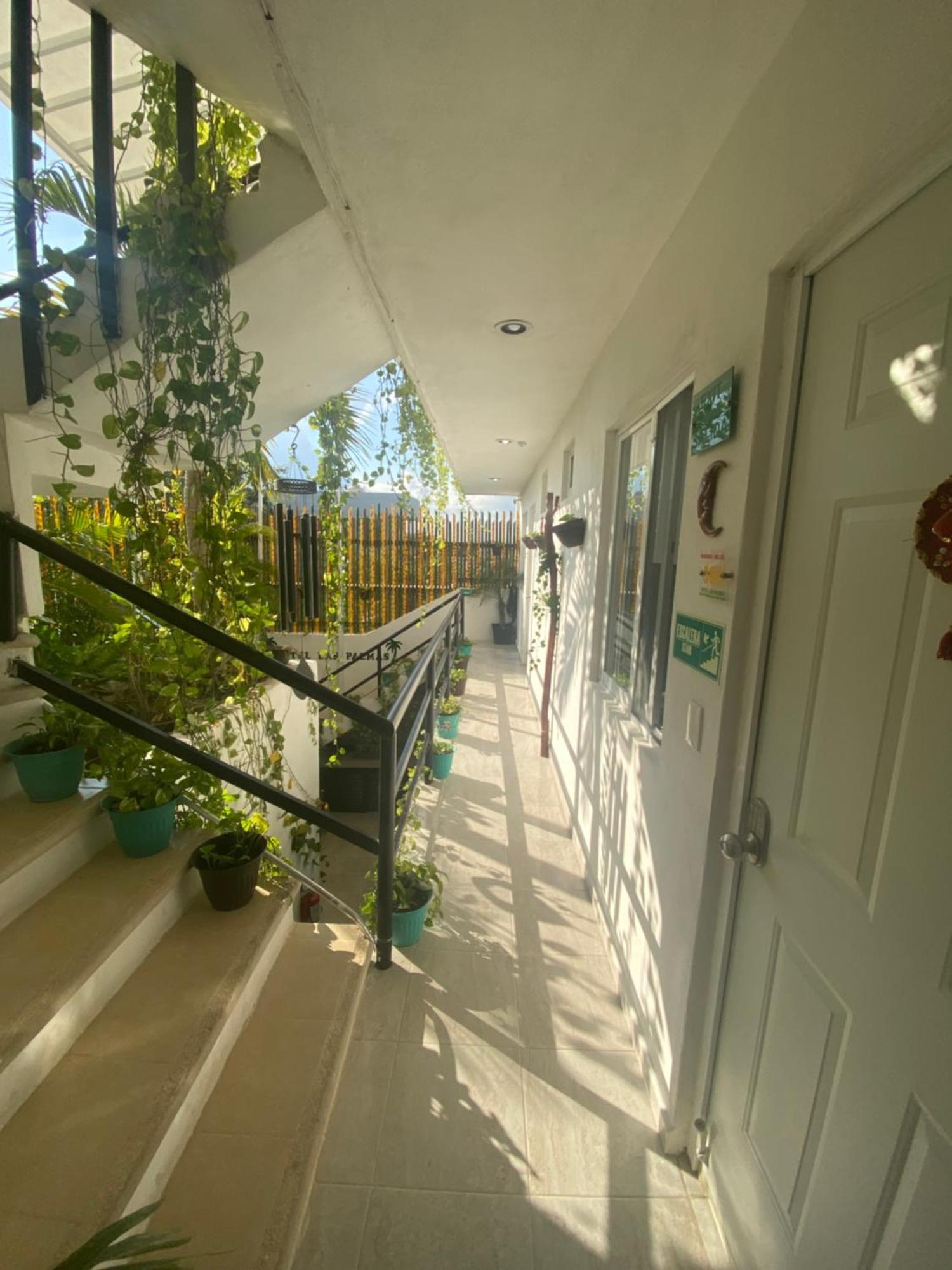 Lux Studio Room Las Palmas Пуерто-Морелос Екстер'єр фото
